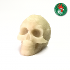 Skull Chico 3D 100% Recyclé Blanc