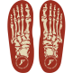 Skeleton Red